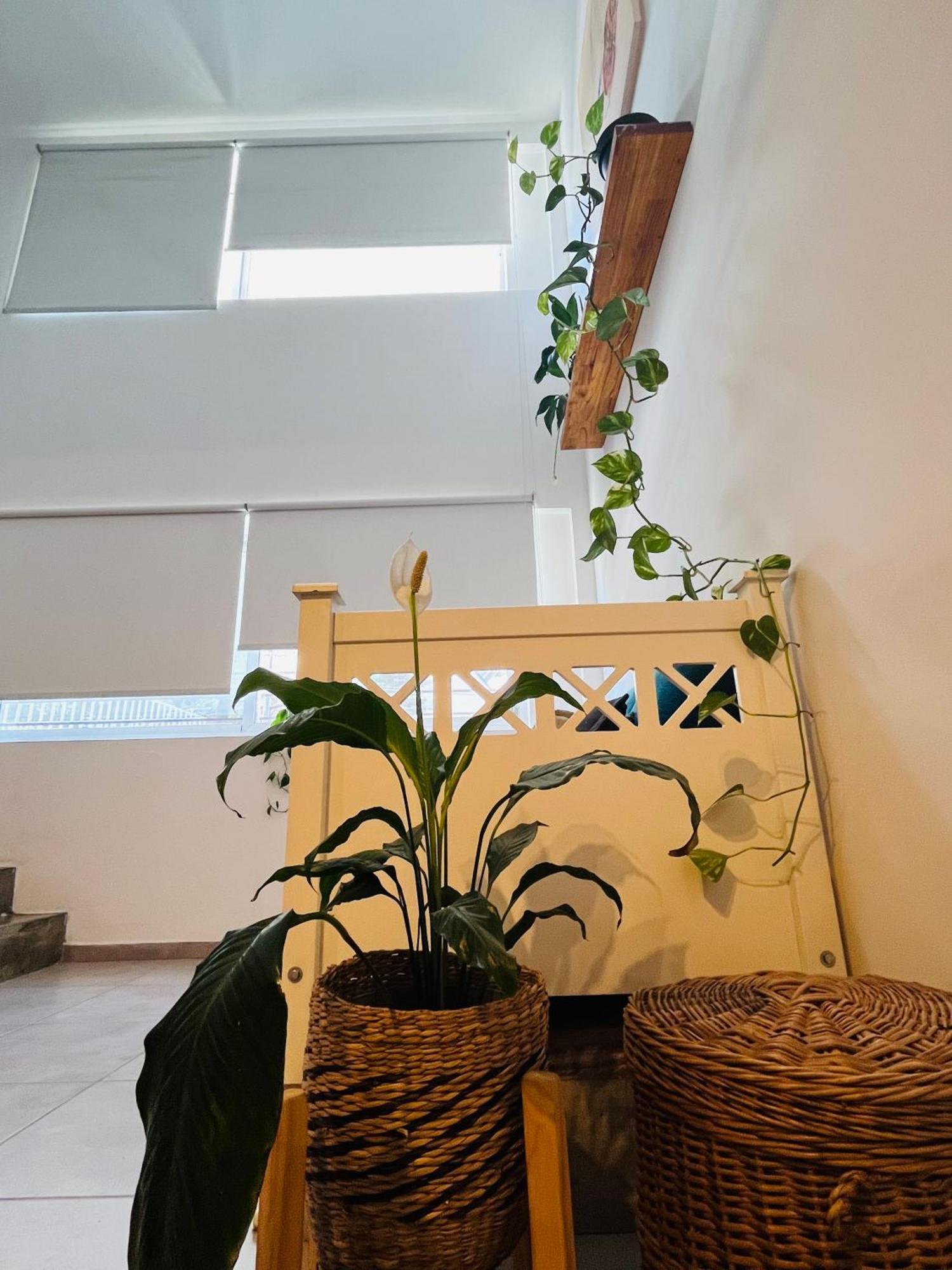 Apartment Aguaribay Loft Alto Alberdi Nuevo Centro