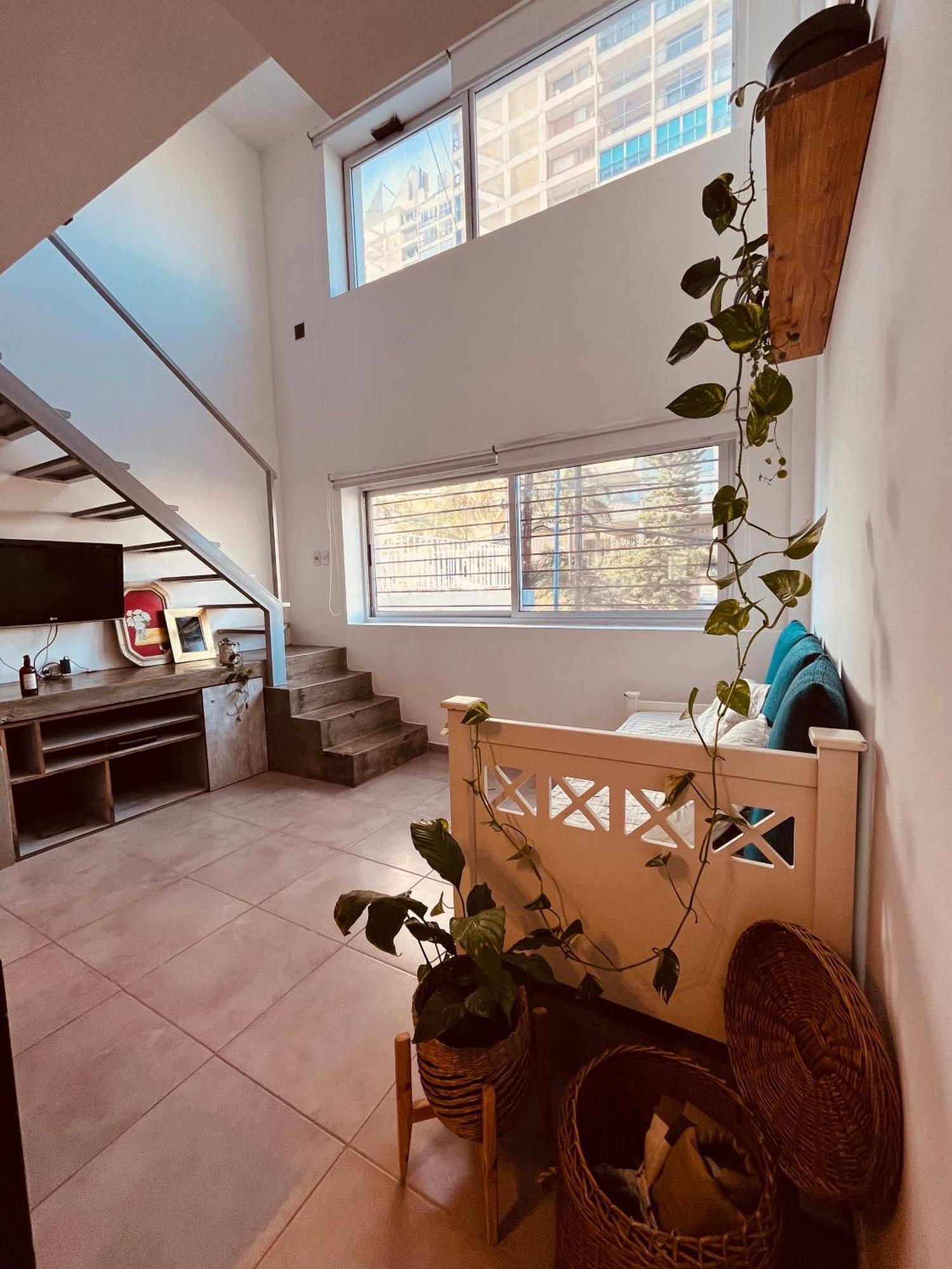 Aguaribay Loft Alto Alberdi Nuevo Centro Córdoba